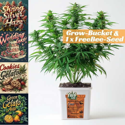 Grow Bucket Coco Mix